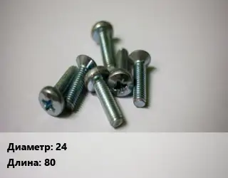 Винт 24х80